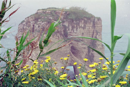 The pigeon rock